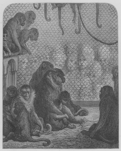 Dierentuin, De Apen door Gustave after Dore